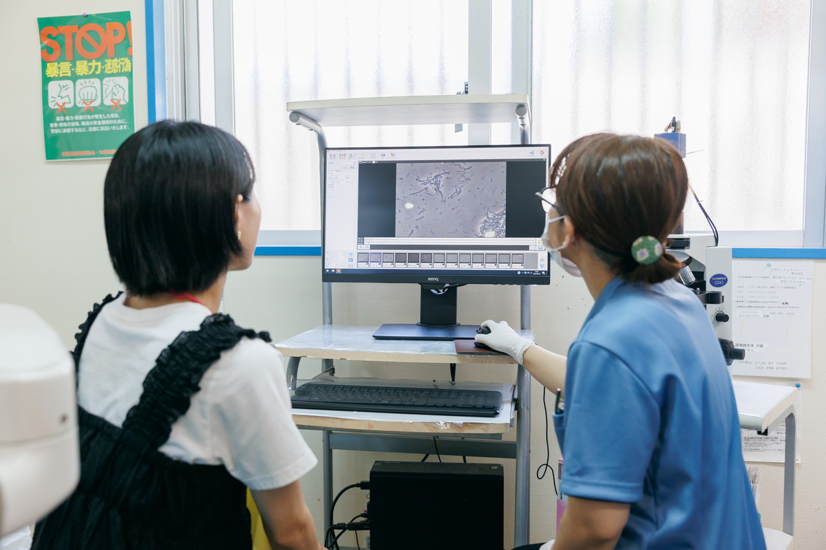 特徴3:目に見えない歯周病菌を「見える化」